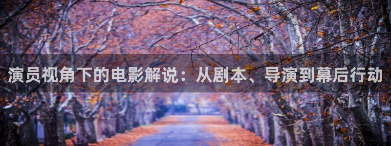 成年人午夜片