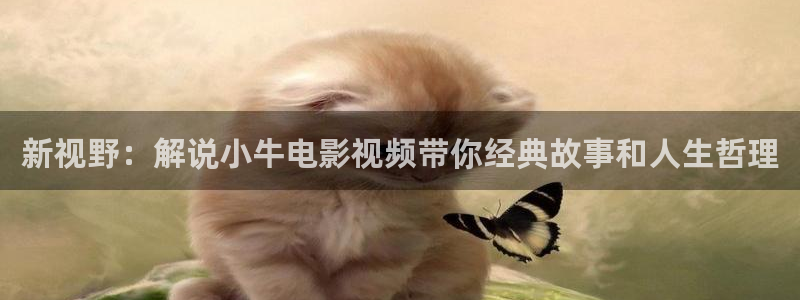87电影网午夜