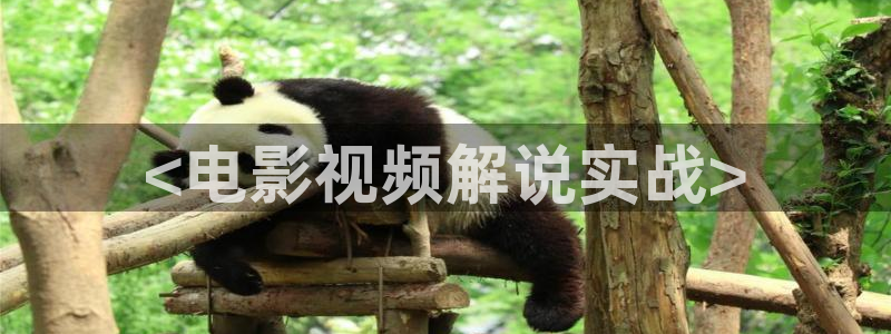 午夜伦理影院