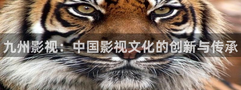 8050午夜电影免费看