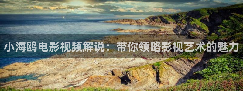 午夜免费视频播放器
