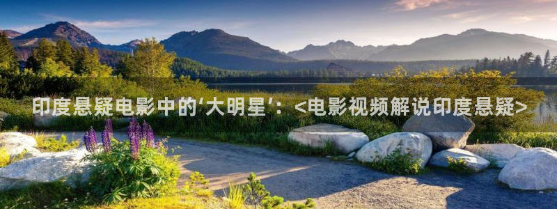 8050午夜看片